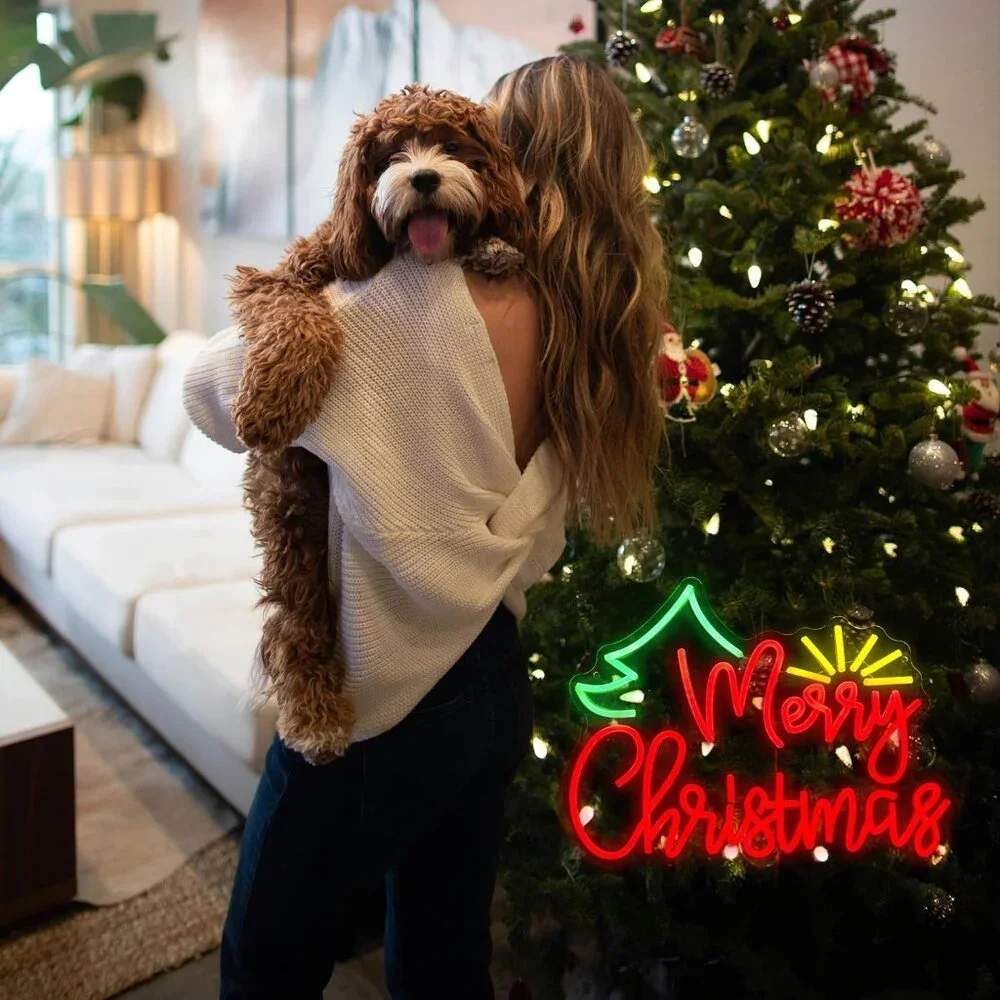 Merry Christmas Neon Sign Led Candy Dimmable Light Up Sign for Party Kids Gift